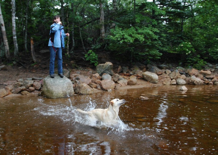 86Retrieve Lessons 3.jpg